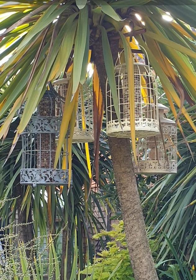 Tropical Garden Oasis Rooms Birmingham Exterior photo