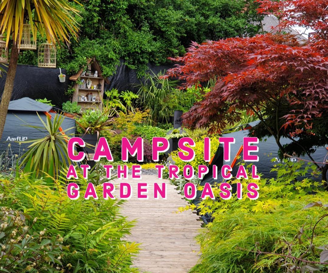 Tropical Garden Oasis Rooms Birmingham Room photo